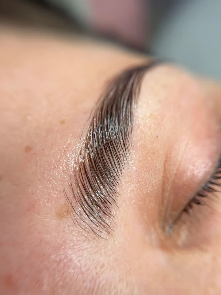 Laminado de Cejas